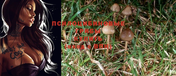 прущая мука Дмитриев