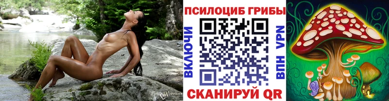 Псилоцибиновые грибы Cubensis  Озёрск 